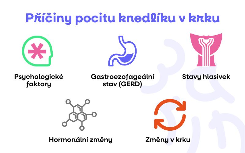 knedlik v krku infografika